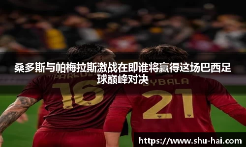 桑多斯与帕梅拉斯激战在即谁将赢得这场巴西足球巅峰对决