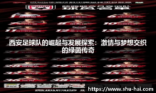 球王会体育官方网站