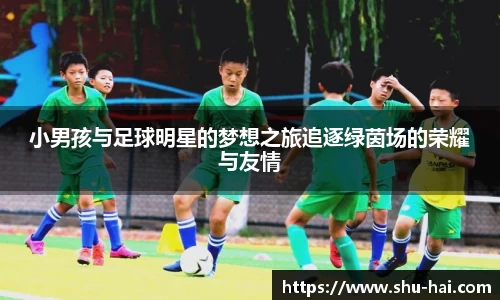 小男孩与足球明星的梦想之旅追逐绿茵场的荣耀与友情
