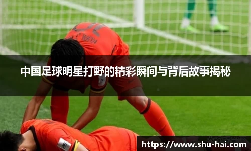 球王会体育官方网站