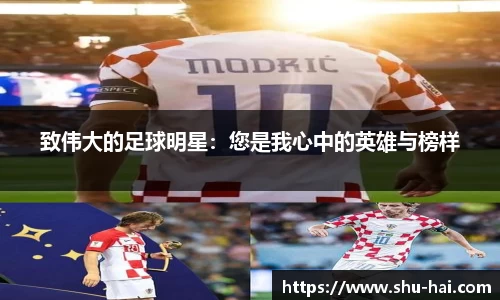 致伟大的足球明星：您是我心中的英雄与榜样