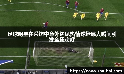 足球明星在采访中意外遇见热情球迷感人瞬间引发全场欢呼